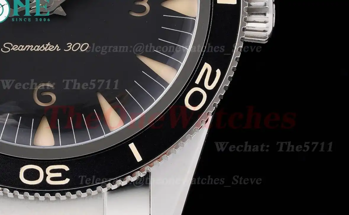 Seamaster 300m 41mm No Date SS SS Black Dial VSF A8912