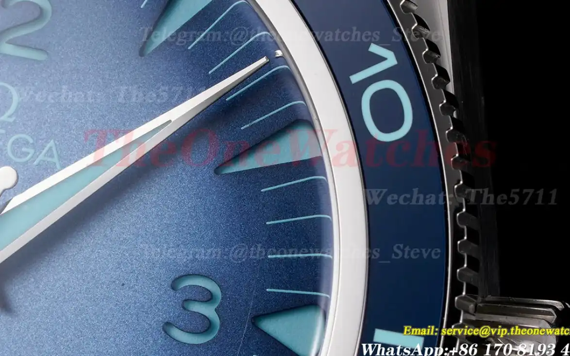 Seamaster 300m 41mm No Date SS SS Summer Blue Dial VSF A8912