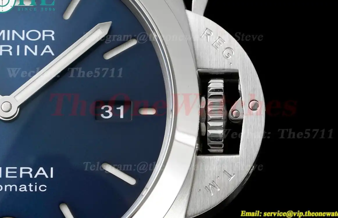 PAM1313 Luminor 44mm Blue Dial SS LE TTF A9010