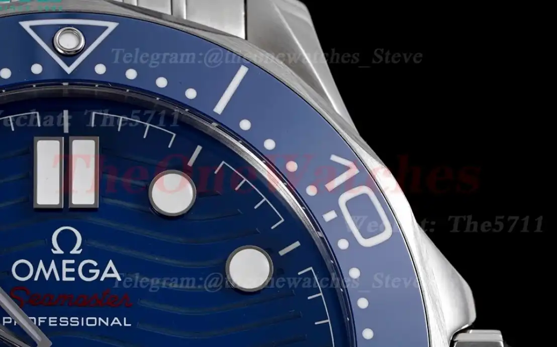 Seamaster 300m Basel 2018 SS SS Blue Dot ZF A8800