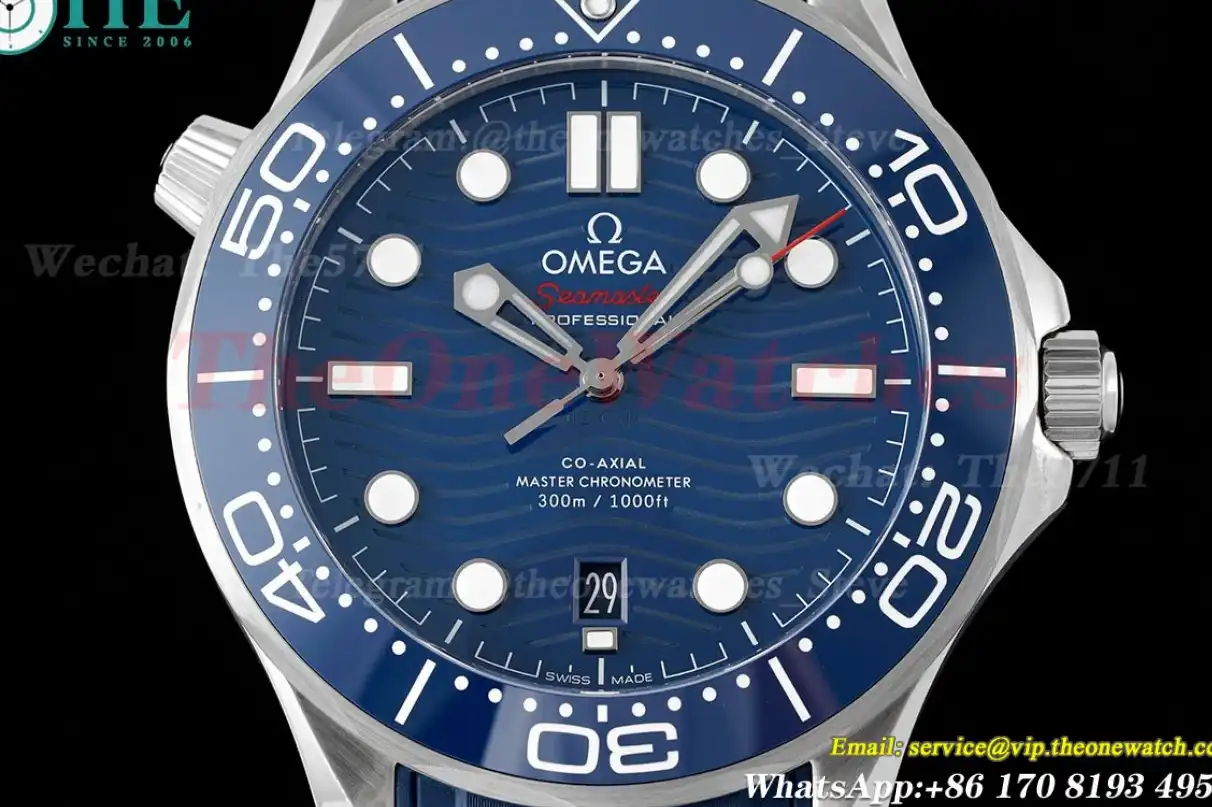 Seamaster 300m Basel 2018 SS RU Blue Dot ZF A8800