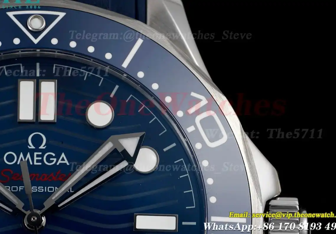 Seamaster 300m Basel 2018 SS RU Blue Dot ZF A8800