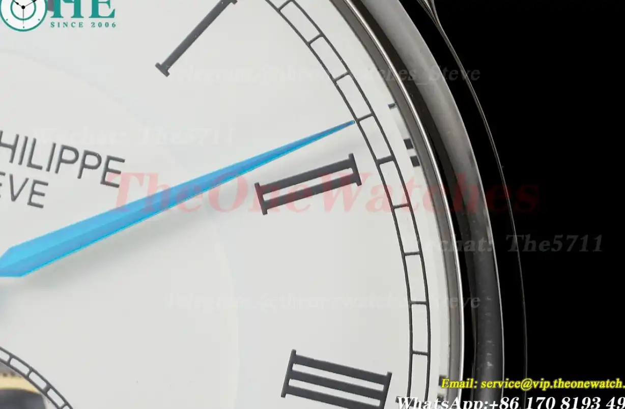 Complications 43mm SS LE White Rmn RMSF Tourb