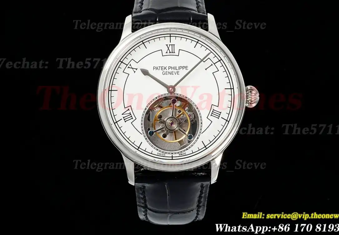 Complications 43mm SS LE White Line RMSF Tourb