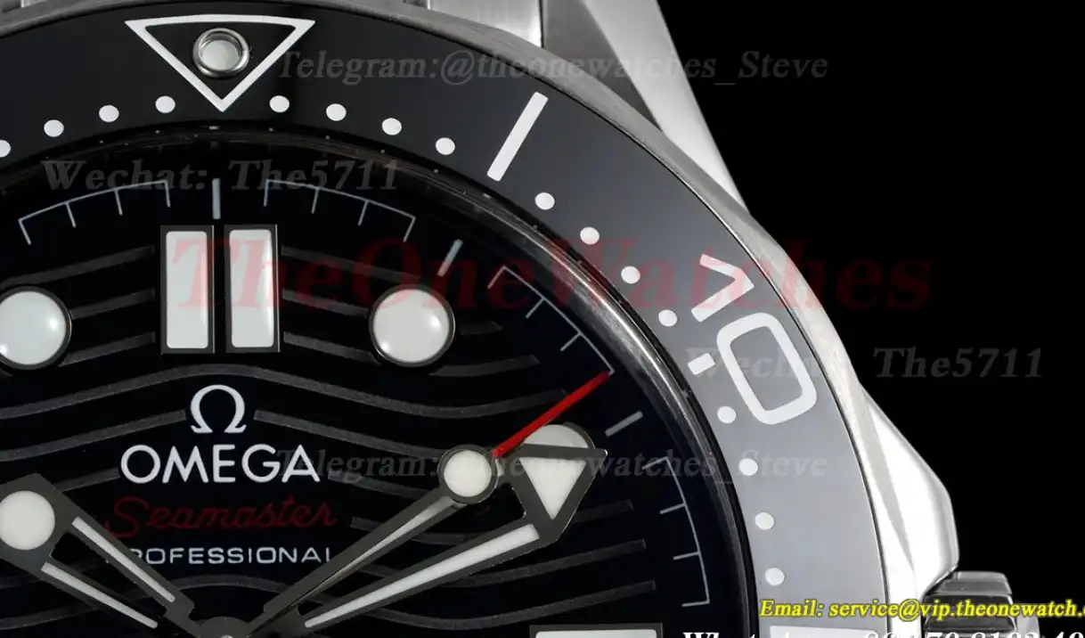 Seamaster 300m 2018 SS SS Black ORF Asia 8800