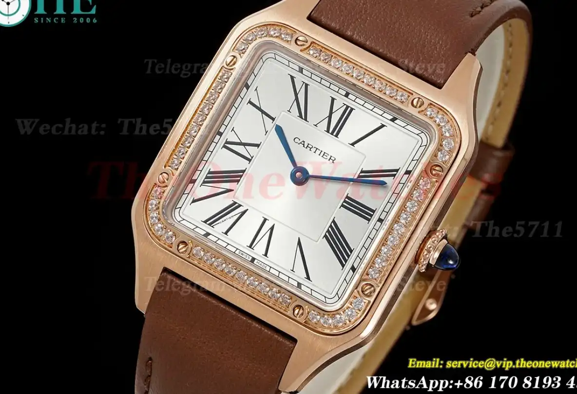 Santos Dumont Brown Dia RG LE Silver Dial AF Quartz