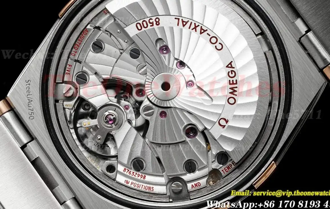 Constellation Co-Axial 38mm RG SS White VSF Asia 8500