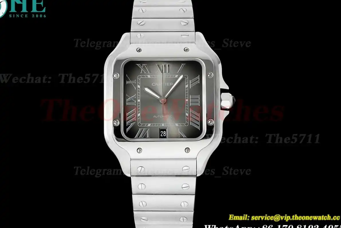 Santos De Cartier 40mm XL SS SS Grey Dial AF MY9015