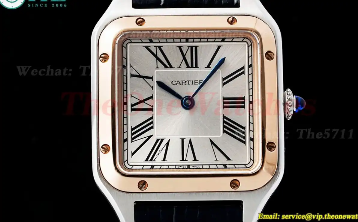 Santos Dumont Blk RG LE Silver Dial AF Quartz