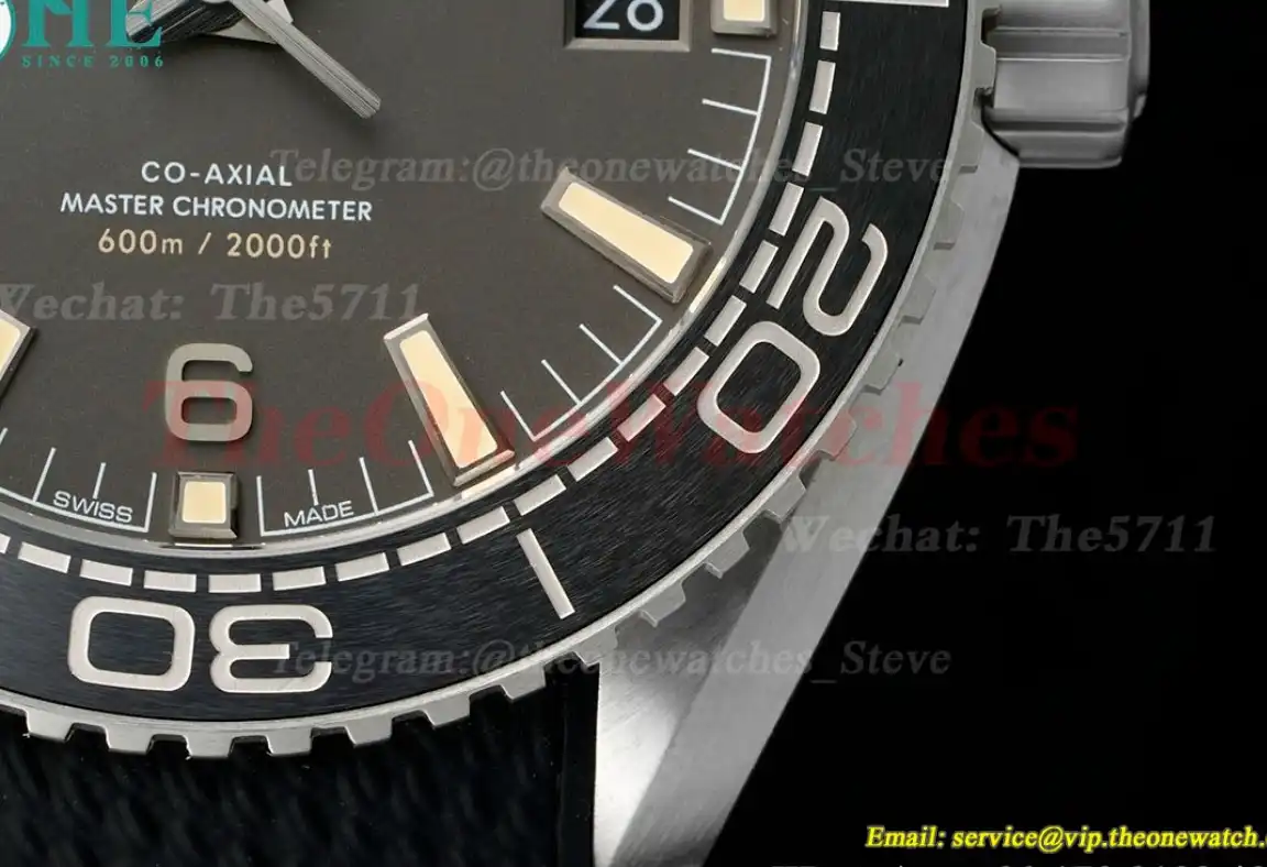 Seamaster 600M 43.5mm SS RU Bronze Grey Dial VSF A8900 Super Clone