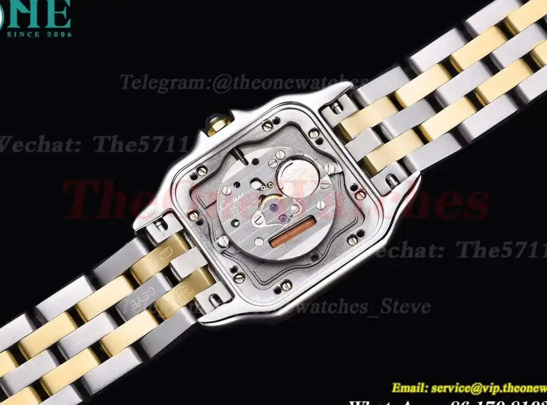 Panthere Secrete De Ladies 27mm Dia YG SS White Dial 8848F Swiss Qtz