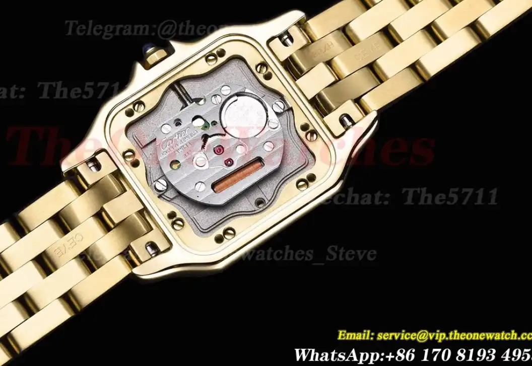 Panthere Secrete De Ladies 27mm YG YG White Dial 8848F Swiss Qtz