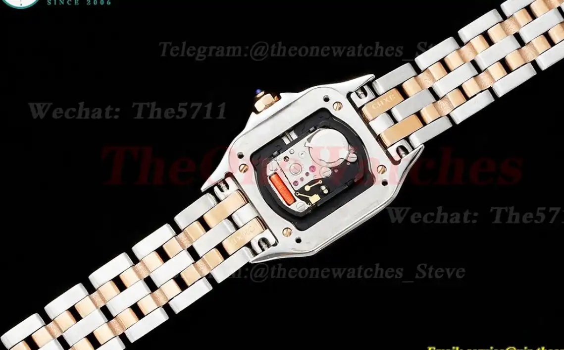 Panthere Secrete De Ladies Small 22mm Dia RG SS White AF Quartz