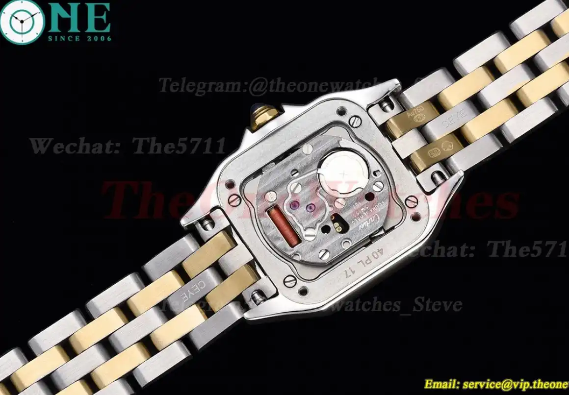 Panthere Secrete De Ladies 22mm Dia YG SS White Dial 8848F Swiss Qtz