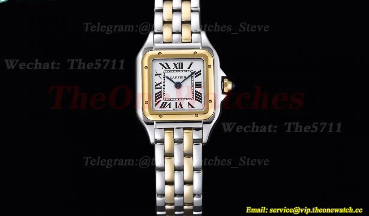 Panthere Secrete De Ladies 22mm YG SS White Dial 8848F Swiss Qtz