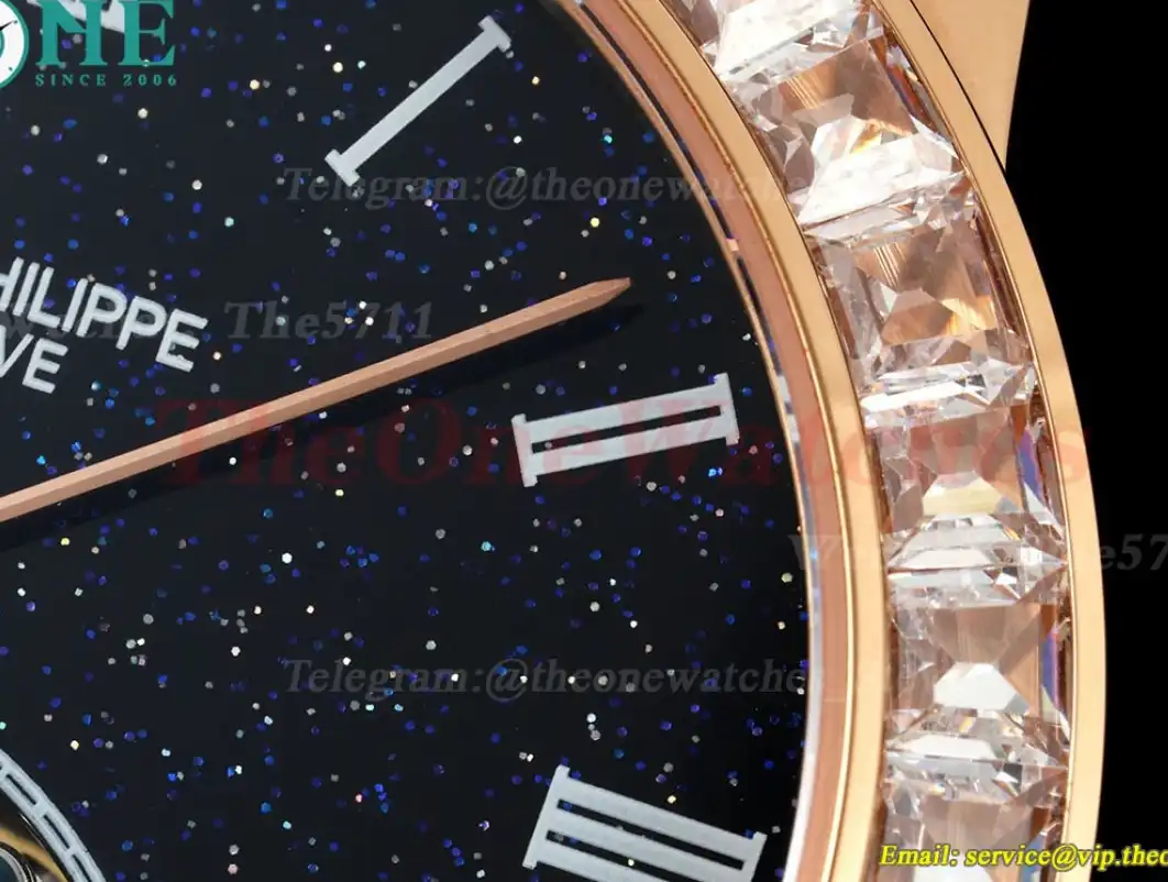 Complications 42mm Dia RG LE Starry Sky Dial RMSF Tourb