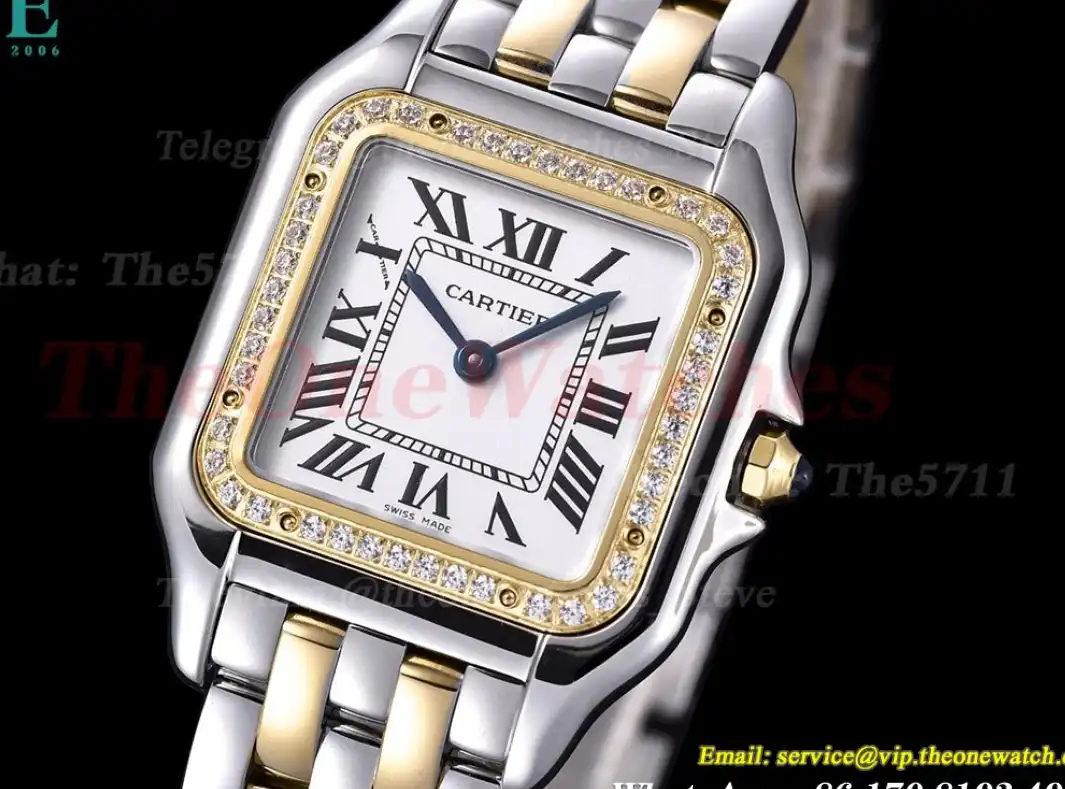 Panthere Secrete De Ladies 27mm Dia YG SS White Dial 8848F Swiss Qtz