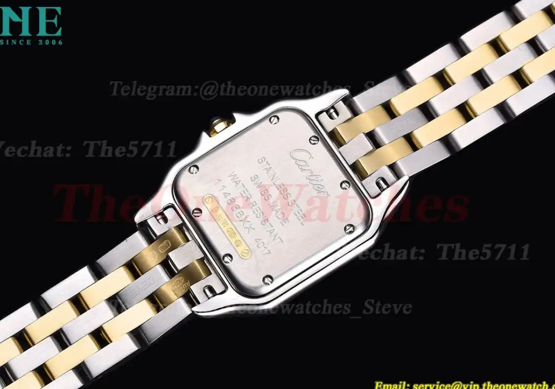 Panthere Secrete De Ladies 27mm YG SS White Dial 8848F Swiss Qtz