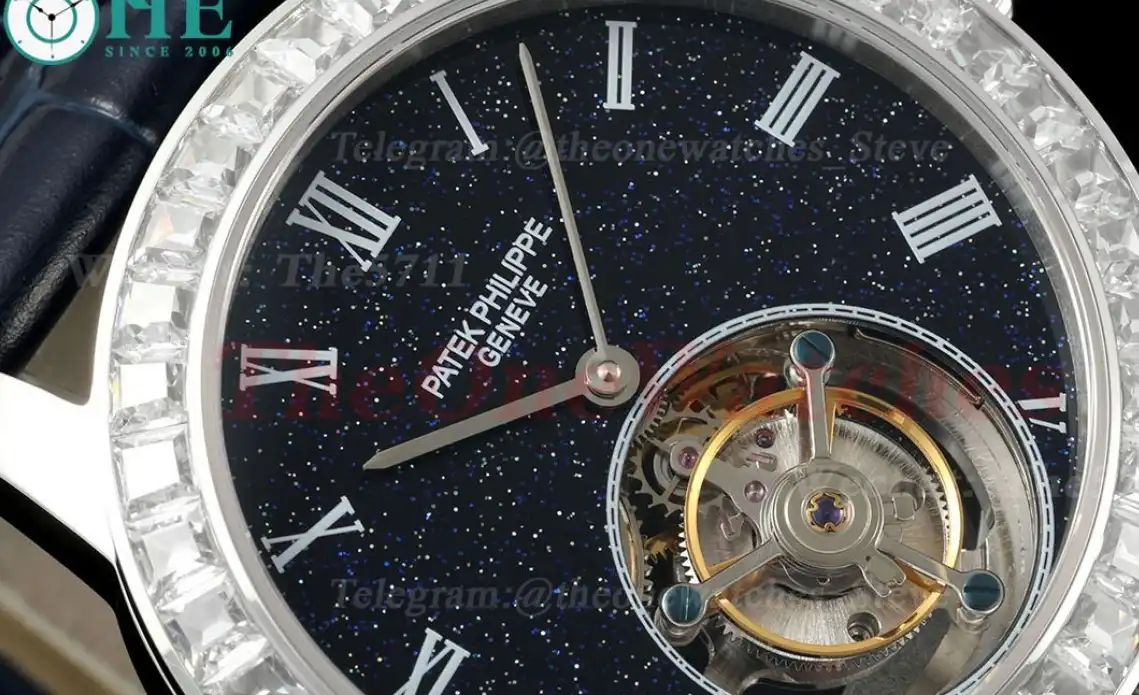 Complications 42mm Dia SS LE Starry Sky Dial RMSF Tourb