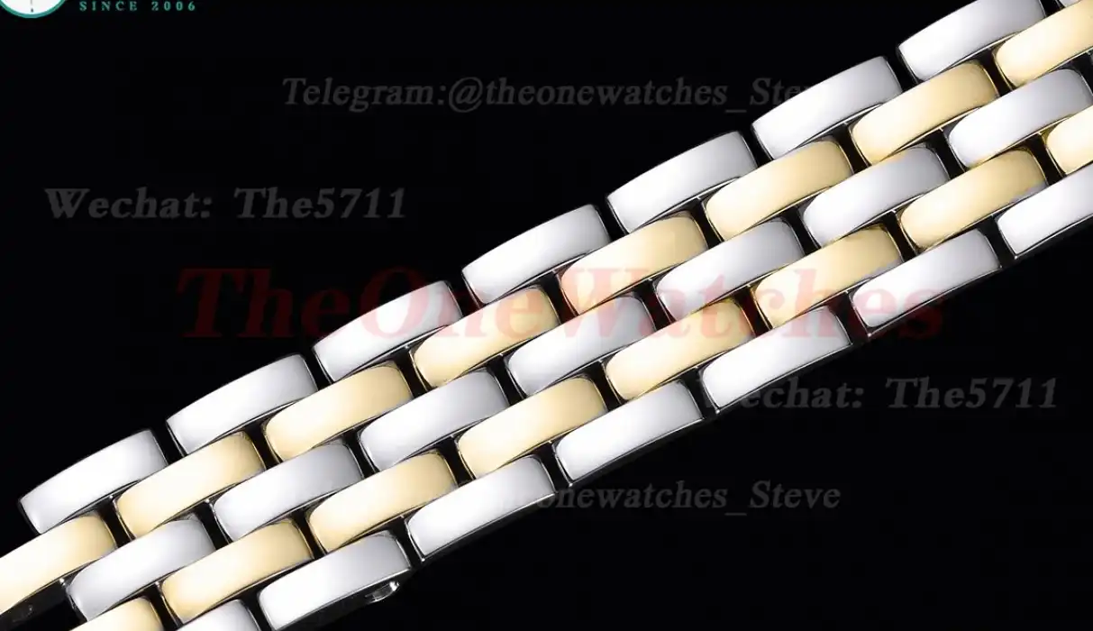 Panthere Secrete De Ladies 22mm Dia YG SS White Dial 8848F Swiss Qtz