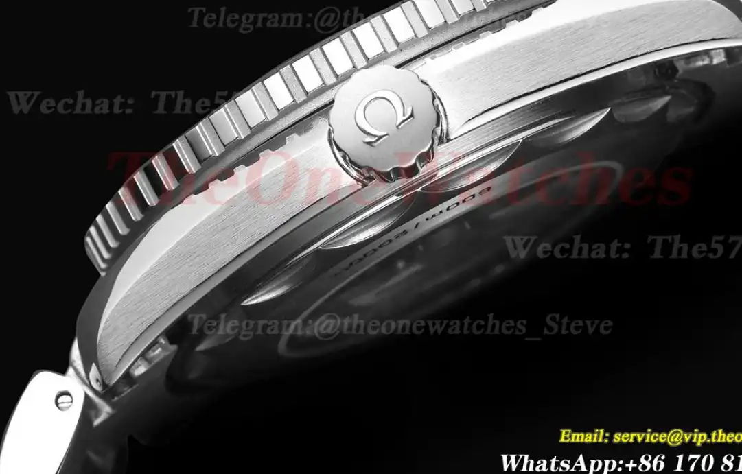 Seamaster 600m 43mm SS SS Grey GDF MY8215