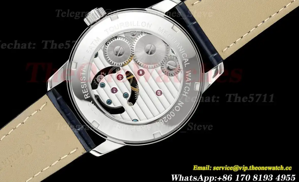 Complications 42mm Gem SS LE Starry Sky Dial RMSF Tourb