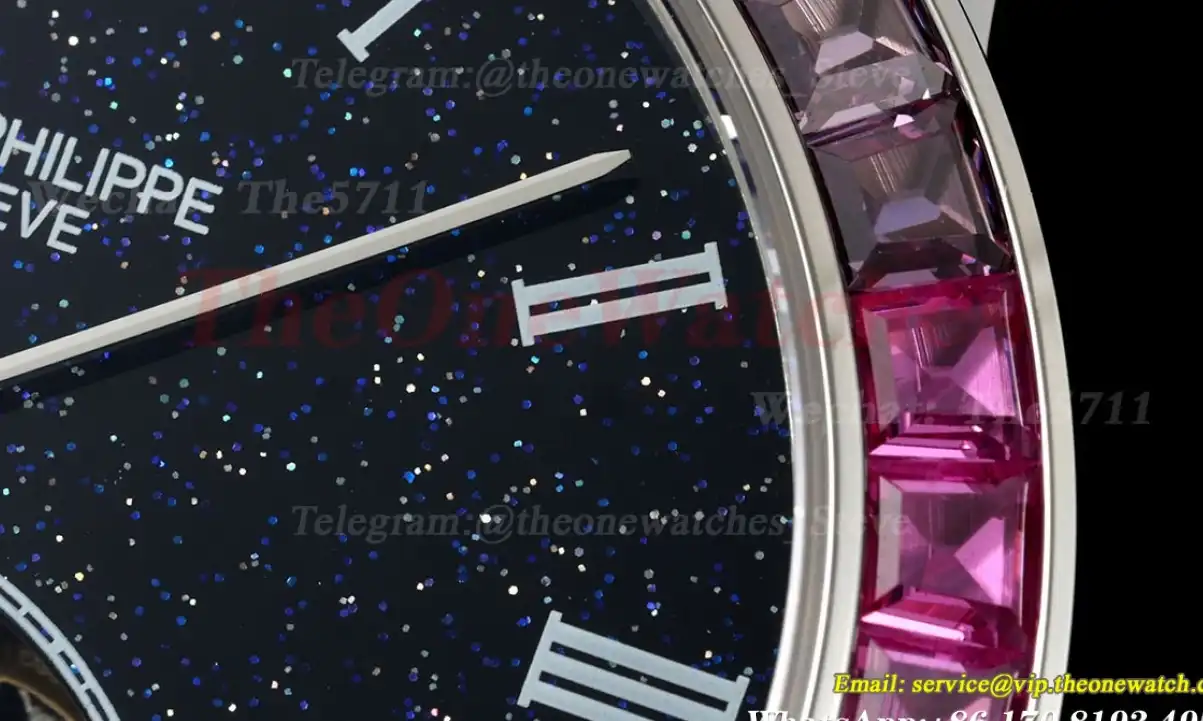 Complications 42mm Gem SS LE Starry Sky Dial RMSF Tourb