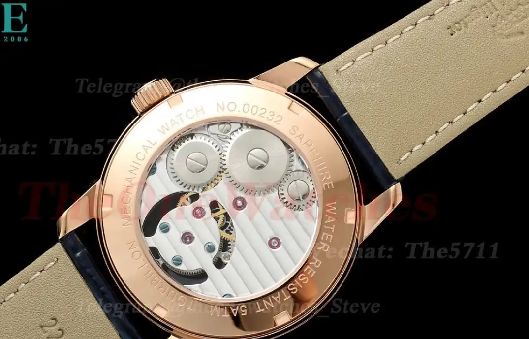 Complications 42mm Dia RG LE Starry Sky Dial RMSF Tourb