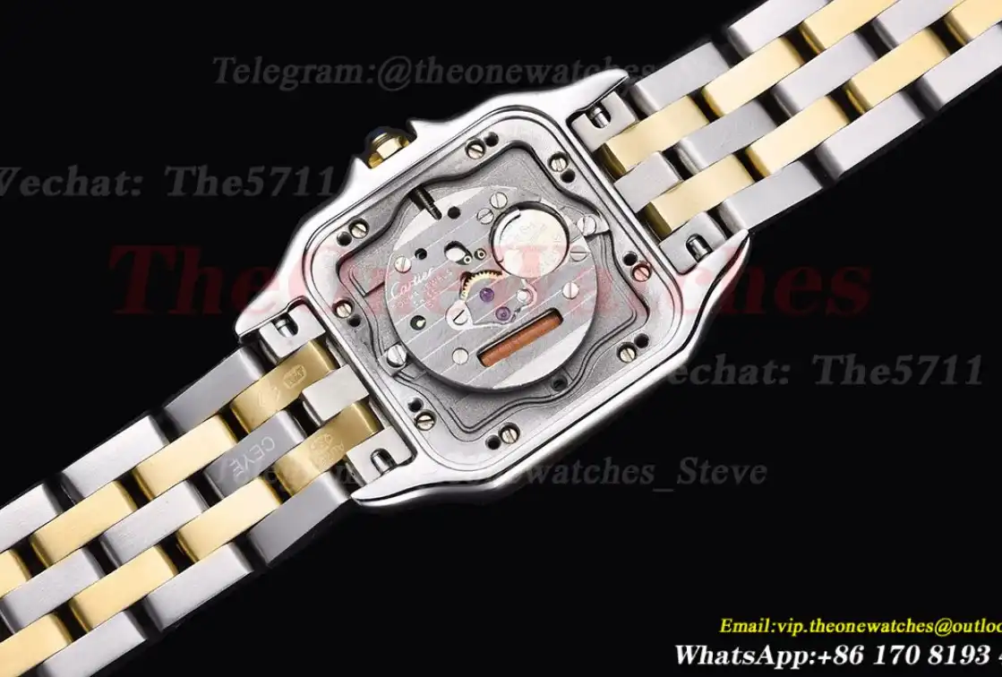 Panthere Secrete De Ladies 27mm YG SS White Dial 8848F Swiss Qtz