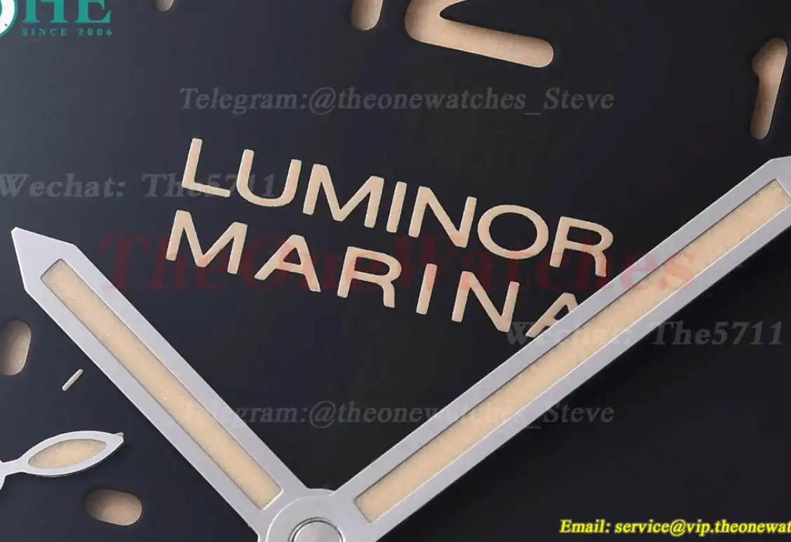 Luminor Marina PAM732 44mm SS LE Black Dial TTF P9010