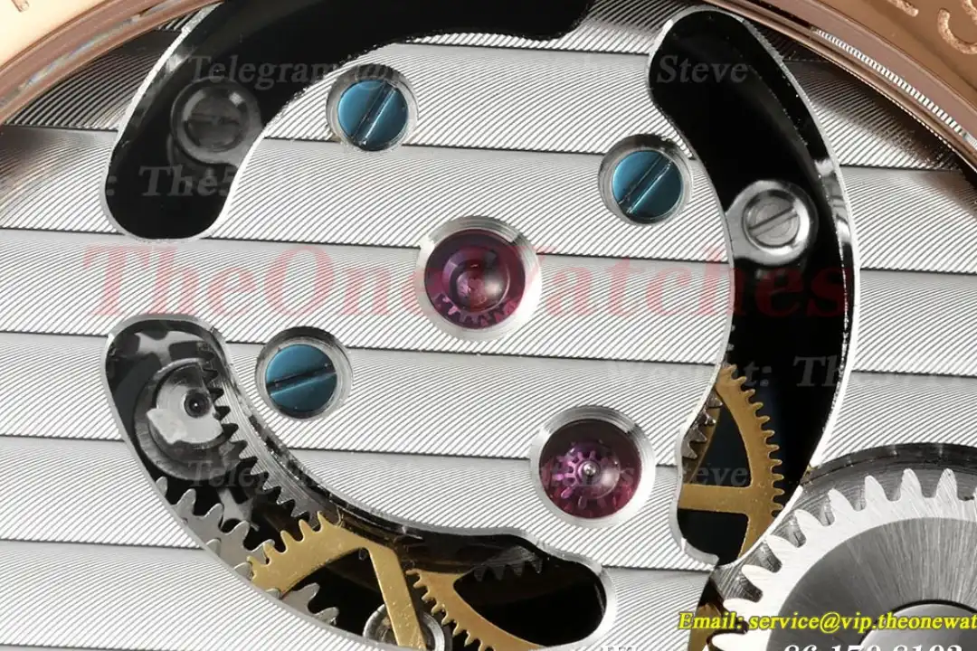 Complications 42mm RG LE Starry Sky Dial RMSF Tourb