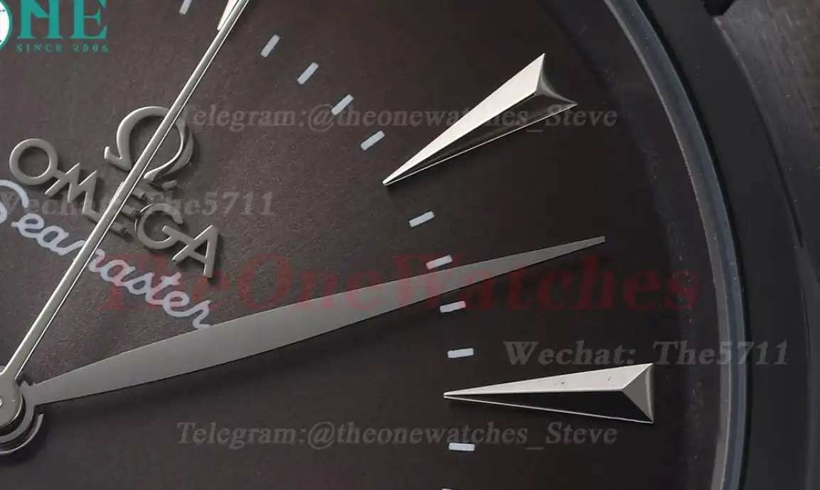 Seamaster 41mm PVD LE Gradient Grey Dial GDF MY8215