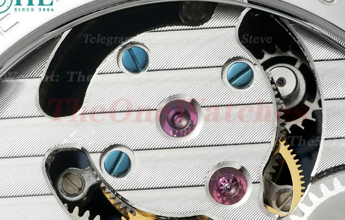 Complications 42mm Dia SS LE Starry Sky Dial RMSF Tourb