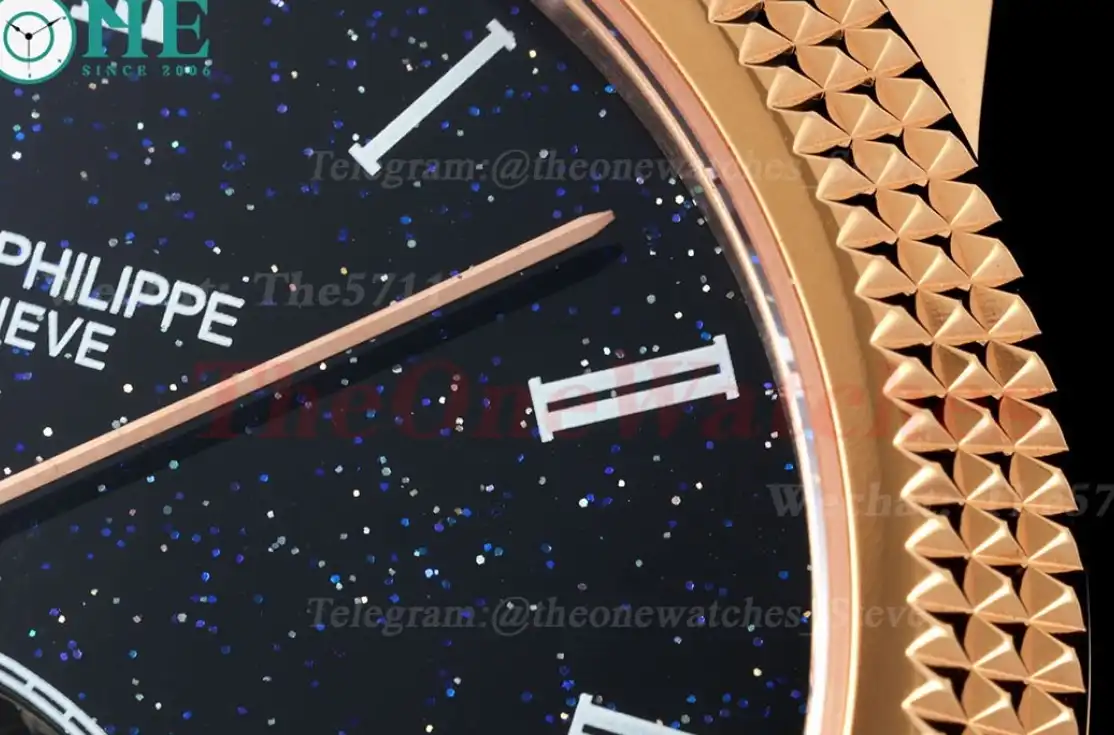 Complications 42mm RG LE Starry Sky Dial RMSF Tourb