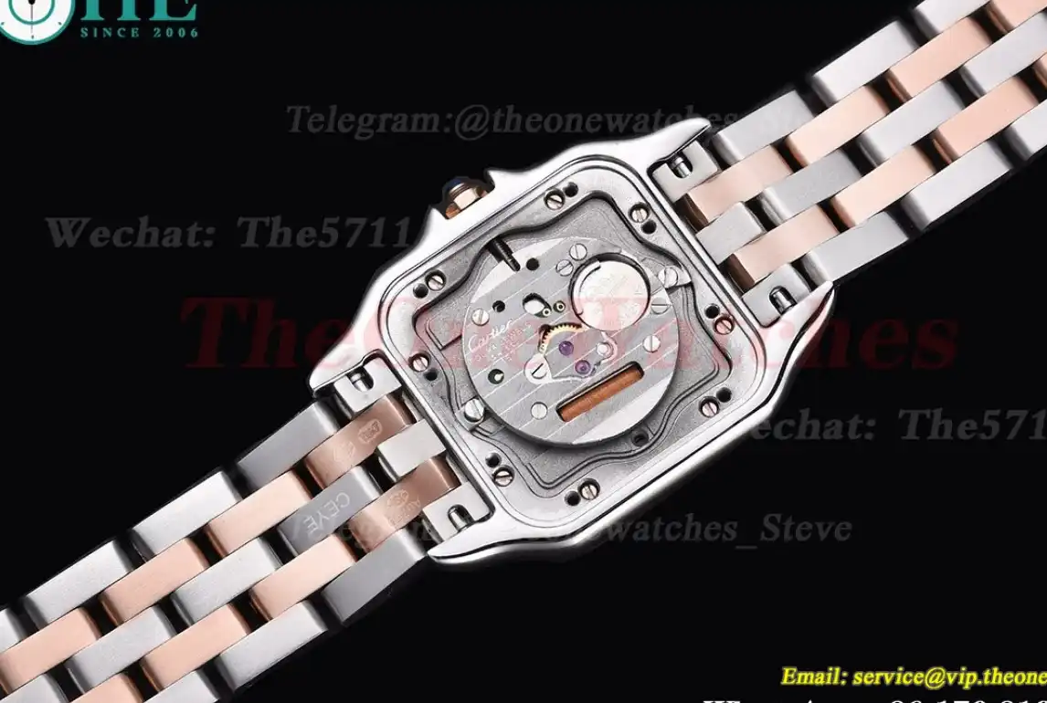 Panthere Secrete De Ladies 27mm RG SS White Dial 8848F Swiss Qtz