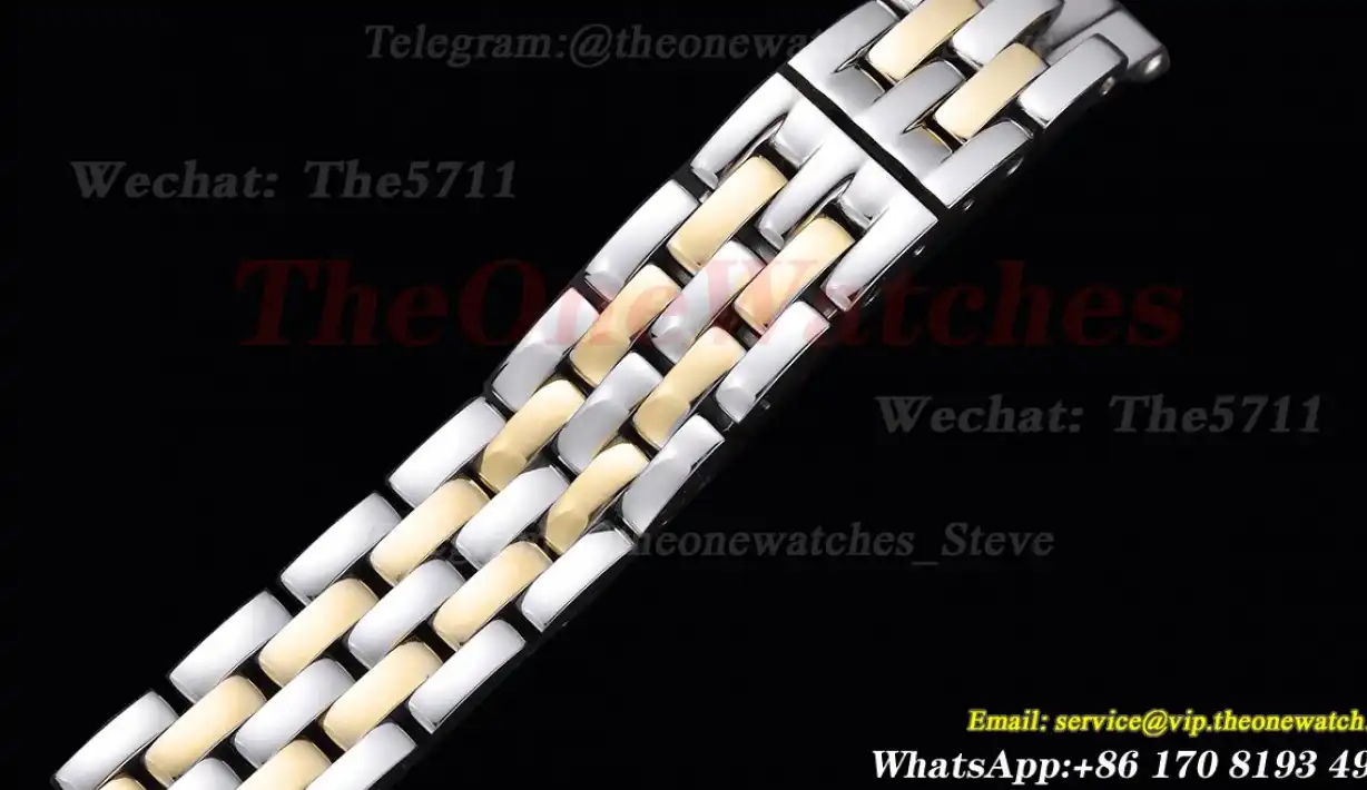 Panthere Secrete De Ladies 22mm Dia YG SS White Dial 8848F Swiss Qtz