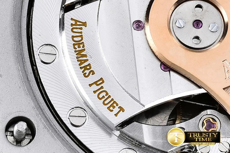 Cheap AP0383A – ROO Basel 2016 Diver