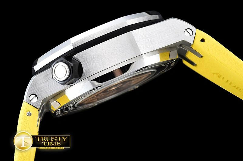 AP0383B – ROO Basel 2016