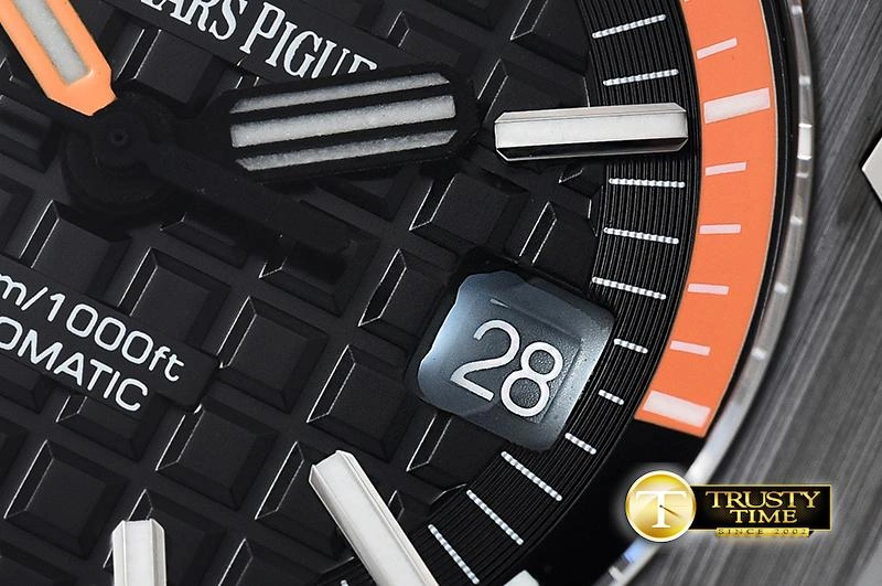 AP0572 -Royal Oak Diver