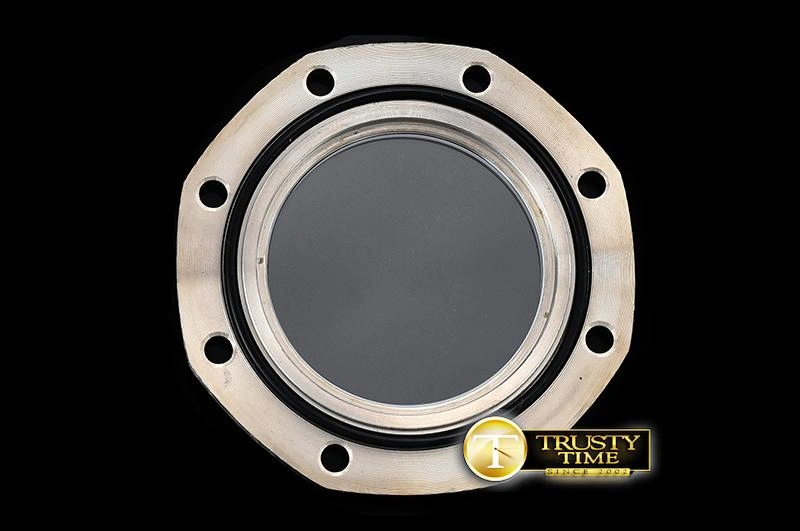 AP0572 -Royal Oak Diver