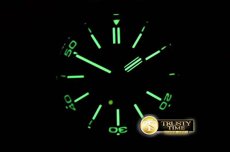 AP0572 -Royal Oak Diver