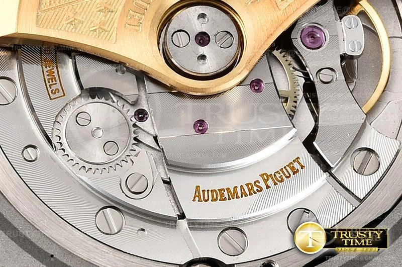 AP0592 – Royal Oak Offshore Diver