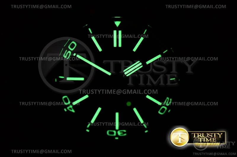 AP0610 – Royal Oak Diver