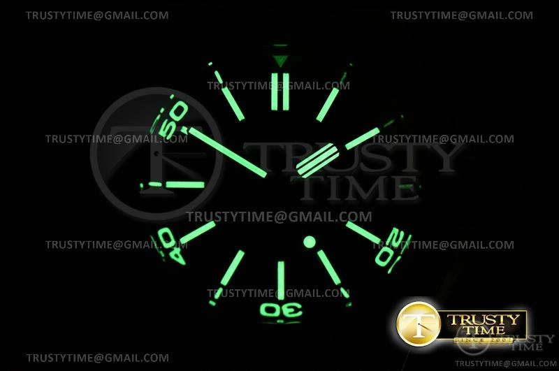 MiroTime AP0612 – Royal Oak Diver