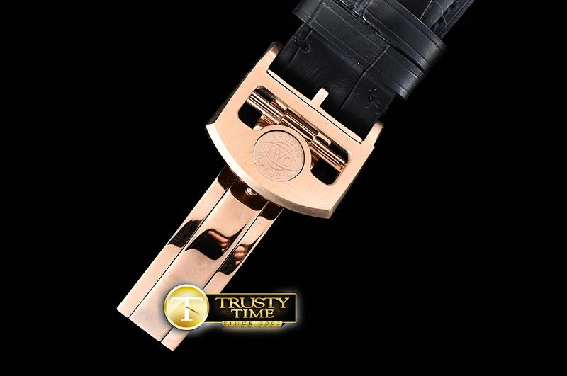 IWC0424D – Portugieser Annual