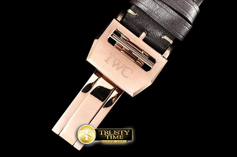 IWC0429B -Big Pilot Annual