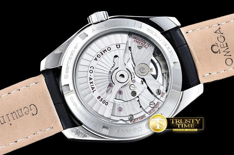 OMG0464D – Aqua Terra 38mm