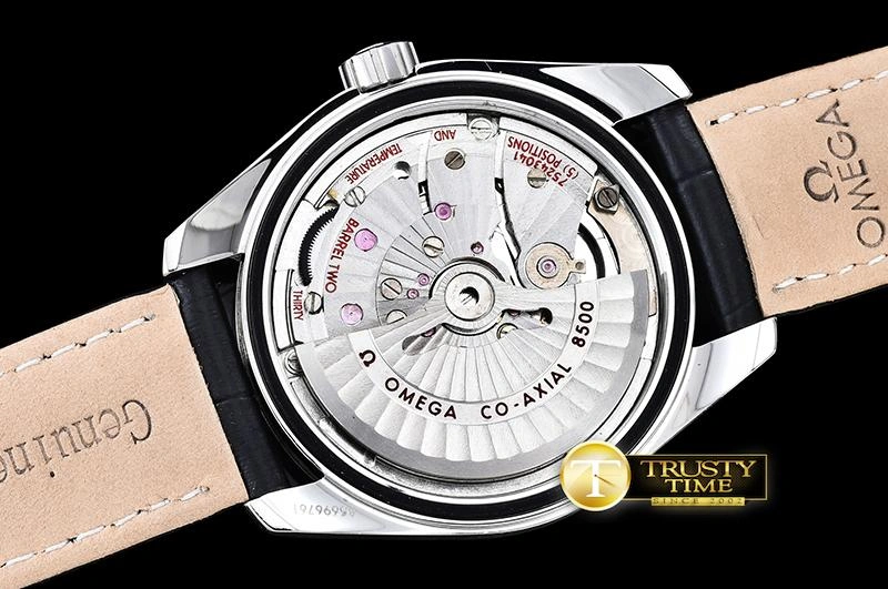 OMG0464D – Aqua Terra 38mm