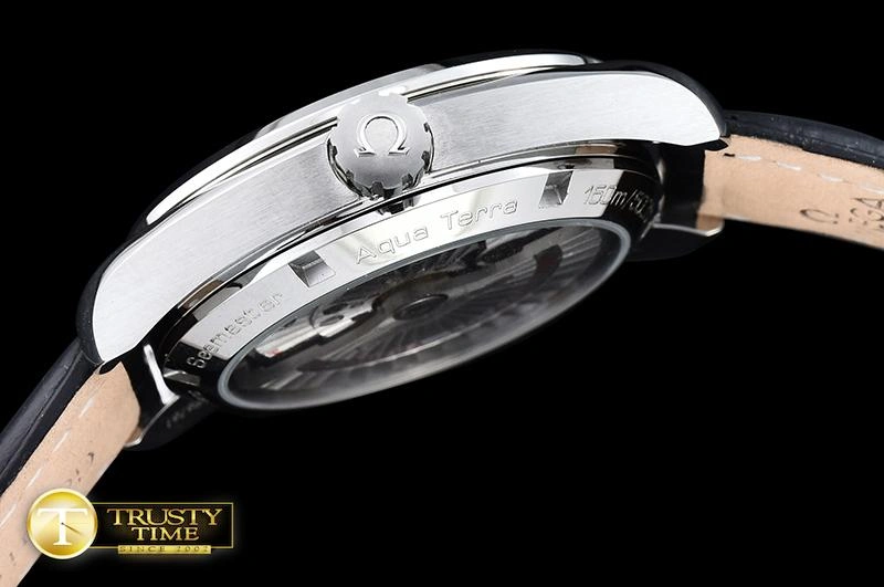 OMG0464D – Aqua Terra 38mm