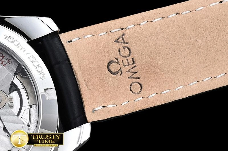 OMG0464F – Aqua Terra 38mm